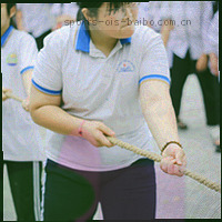 数据导出流程图